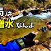 【渓流ルアー】潜んでいた魚が、動き出す！こうなると、渓流はおもしろい！長野県木曽川漁協