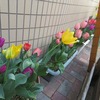令和６年度がスタート！