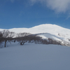 ◆'23/02/11　鳥海山山麓・開拓登山口より④…限界杉～西物見付近