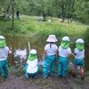 雨が降る前の森の幼稚園