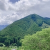 山