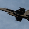 11月7日 横田基地 VFA-27 Royal Maces F/A-18E