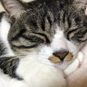 くぅちゃんのブログ