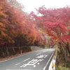 紅葉観ながら珈琲ライドへ！