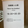 宙組東京新人公演『NEVER SAY GOODBYE』