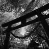 神社の空気