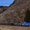 岩手開発鉄道の新型機、DD5602を撮る！