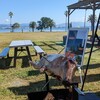 大入餅つきでイノシシの丸焼きしよう！