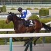 【一口馬主日記】ロードフォアエース編！