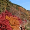ポチとの最後のドライブ｜めがね橋の紅葉と唱歌「もみじ」の風景