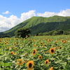 宮崎県の観光スポットを巡るツーリング