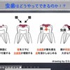 【レビュー】歯磨きのオンライン講座を開催しました！！