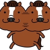 【追い切り注目馬】【シルクロードS】他　2022/1/30(日) 中京競馬　さあ、実戦で外して......？