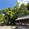 西国巡礼・３番粉河寺へ④産土神社まで
