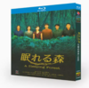 眠れる森 DVD-BOX 中山美穂 木村拓哉 仲村トオル 風間俊介