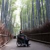 車椅子で京都嵐山観光2022年　渡月橋・竹林・天龍寺を巡りました。車いすで阪急電車・嵐電に乗車しました。