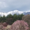 朝の光前寺