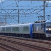 第1001列車　「　甲119 西武鉄道001系(D編成)の甲種輸送を狙う　」