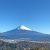 タテ社会の弊害(2023/12号)