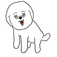 ビション・フリーゼ のイラスト