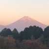 今朝の景色