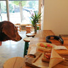 犬可店　BONDI COFFEE SANDWICHES / ベーカリー コムギノホシ / グルートン / nido