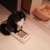 人騒がせなヤツラ。