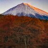 もうひとつの森（晩秋）