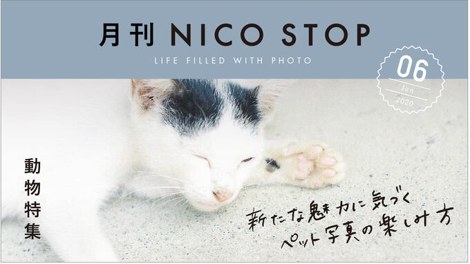 月刊NICO STOP 6月号【動物特集】新たな魅力に気づくペット写真の楽しみ方