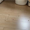 悪い事と自覚しているので目を合わせない愛猫たち