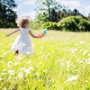 生《お》ひ立たん ありかも知らぬ若草を おくらす露ぞ 消えんそらなき🌱 幼い若紫をみながら 祖母の尼君が詠んだ歌🌿