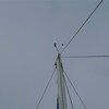 下架できました。その前にマストトップ修理作業。