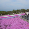 梅雨の中休み