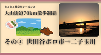 【大山街道70km散歩制覇】その④世田谷ボロ市通り→二子玉川