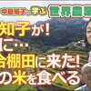 世界農業遺産in両合棚田　中島 知子が！ついに･･･　両合棚田に来た！　最高の米を食べる