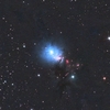 ＮＧＣ１３３３：ペルセウス座の反射星雲
