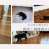 禅的、朝掃除のススメ