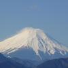 浮岳山深大寺（東京都調布市深大寺元町五丁目15番地1）　前編