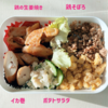 3/17息子弁当　/ 春の日帰り旅行