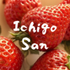 佐賀のいちご、とてもジューシーな「いちごさん」（Saga's strawberry, very juicy "Ichigo-san")