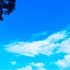 ７月２２日