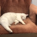 すべてが退屈に変わるまで