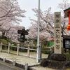 御嶽山大和本宮の桜