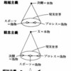 リアリズム・超越主義・相対主義