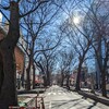 ２日昼に、大國魂神社に初詣に行ってみた。（府中市宮町）