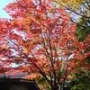 紅葉の那須・塩原・鬼怒川・日光