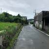 ▩ 和歌山の桃源郷 スイーツの醍醐味とたま駅長