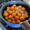 受験戦争が終わって春の兆し