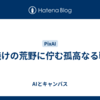 夕焼けの荒野に佇む孤高なる戦士