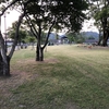 【熊本県人吉市】　中川原公園キャンプ場